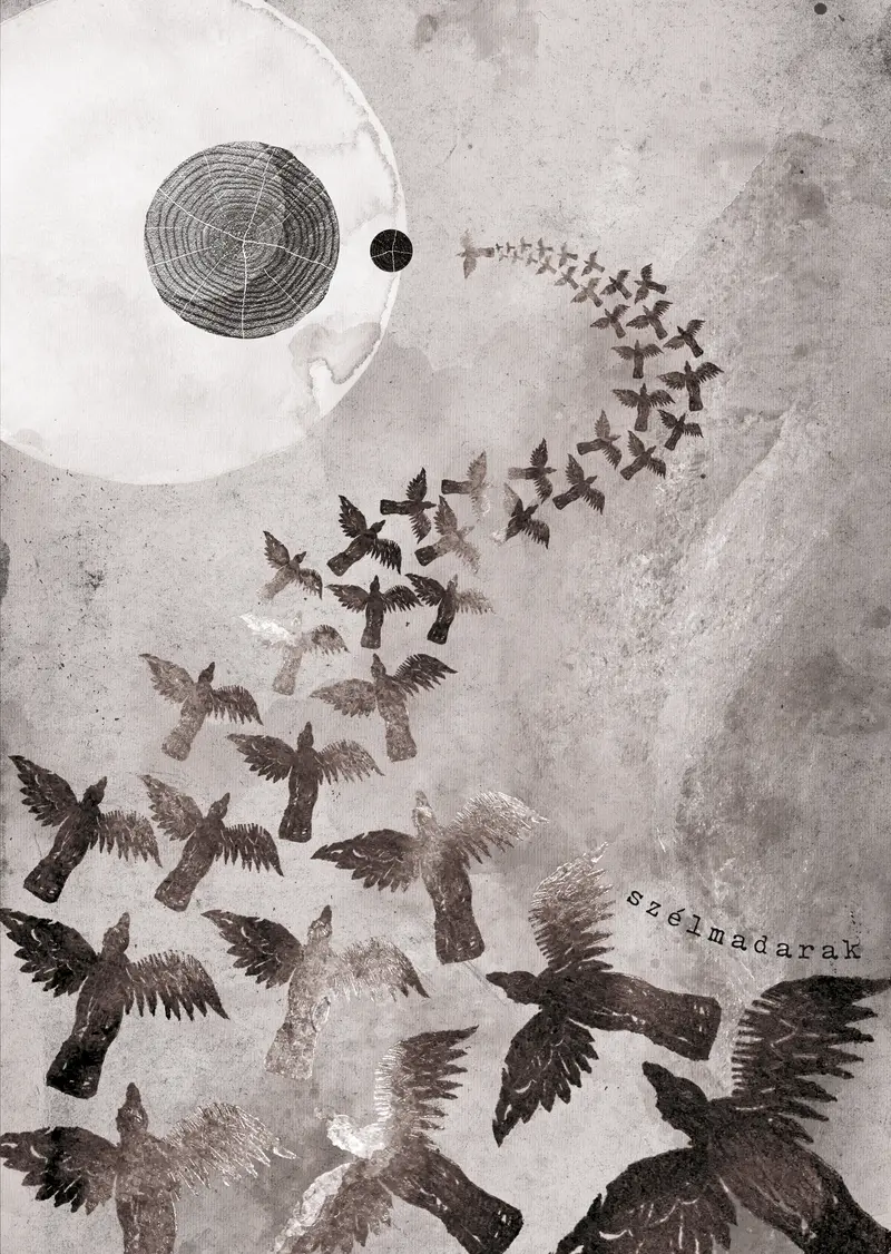 Damian és a csillagok tánca 2024 okt