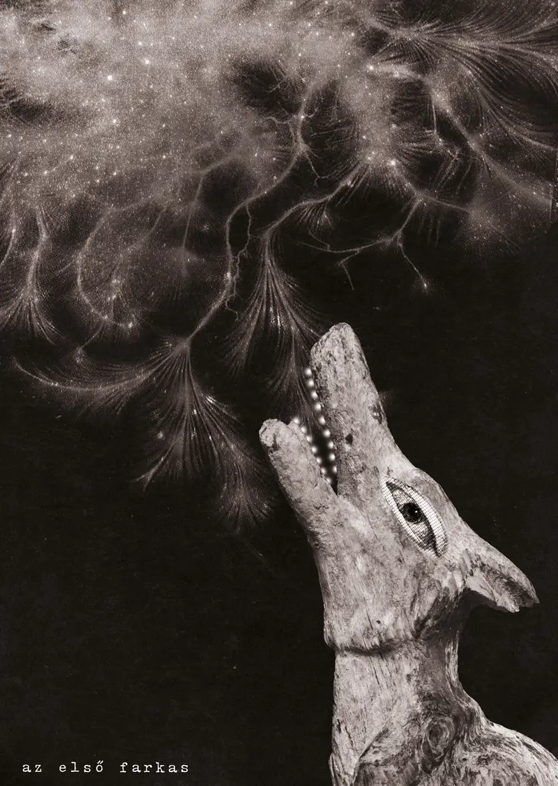 Damian és a csillagok tánca 2024 okt