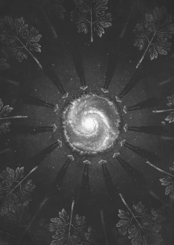 Damian és a csillagok tánca (14.)