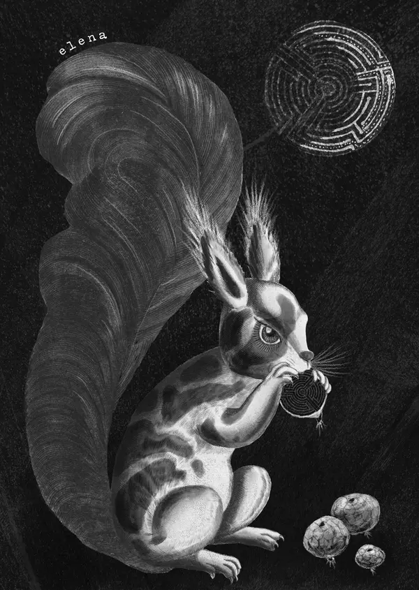 Damian és a csillagok tánca (11.)