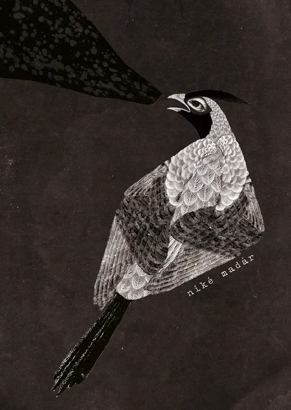 Damian és a csillagok tánca (1.)