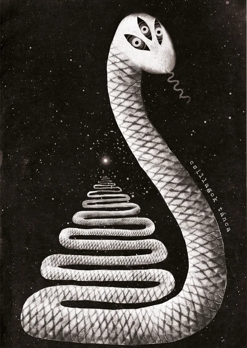 Damian és a csillagok tánca 2023 jan