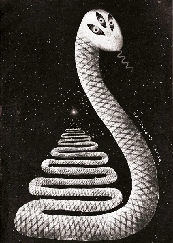 Damian és a csillagok tánca (3.)