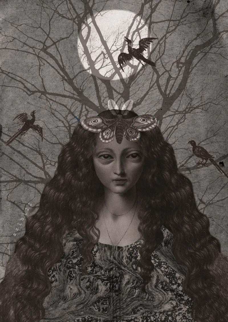 Damian és a csillagok tánca 2025 okt