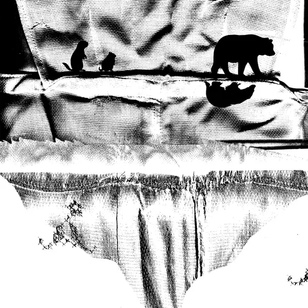 Kinek sikerül elaltatnia  a medvét?