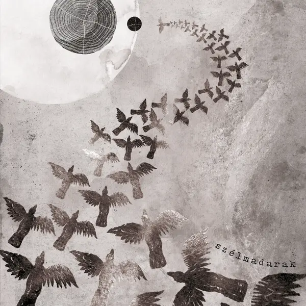 Damian és a csillagok tánca (8.)