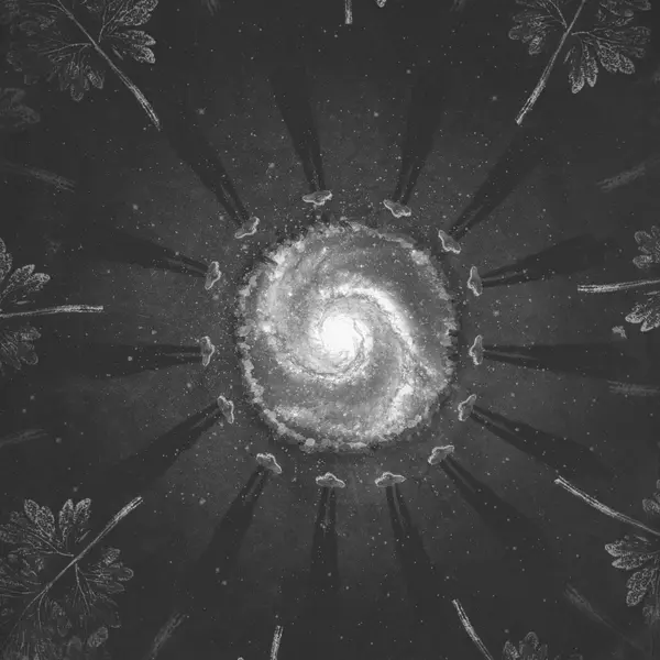 Damian és a csillagok tánca (14.)