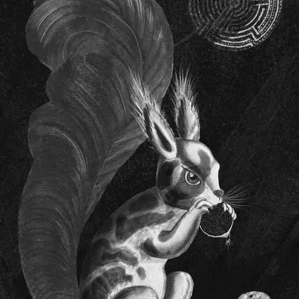 Damian és a csillagok tánca (11.)