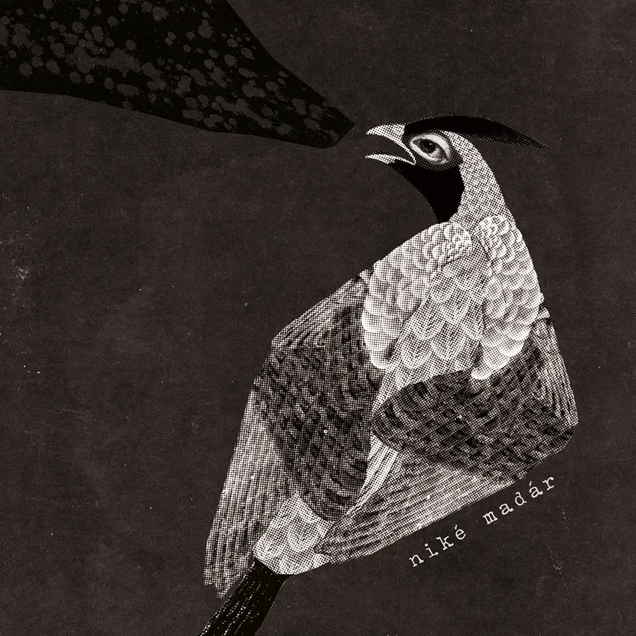 Damian és a csillagok tánca (1.)