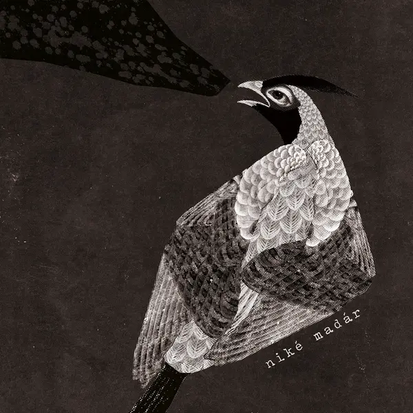 Damian és a csillagok tánca (1.)