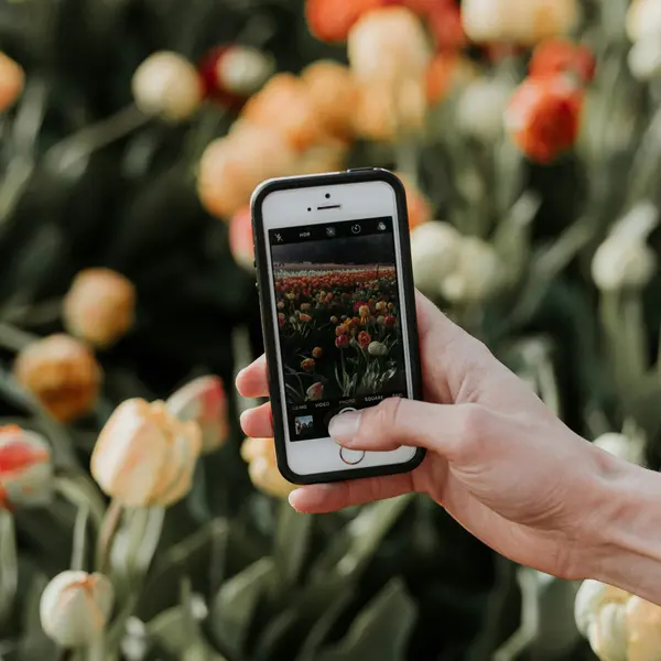 Változtasd a félelmedet hálává! 